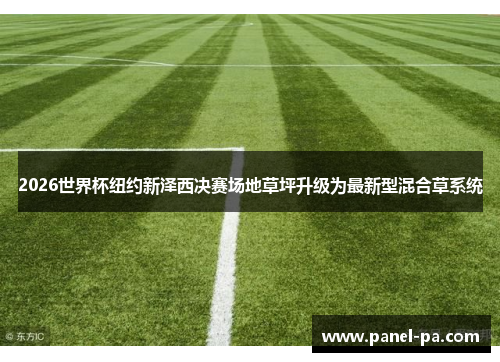 2026世界杯纽约新泽西决赛场地草坪升级为最新型混合草系统