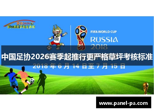 中国足协2026赛季起推行更严格草坪考核标准 中国足协2026赛季起推行更严格草坪考核标准