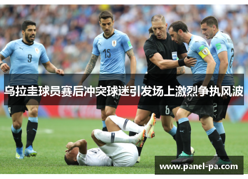 乌拉圭球员赛后冲突球迷引发场上激烈争执风波