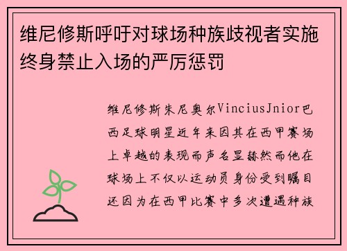 维尼修斯呼吁对球场种族歧视者实施终身禁止入场的严厉惩罚