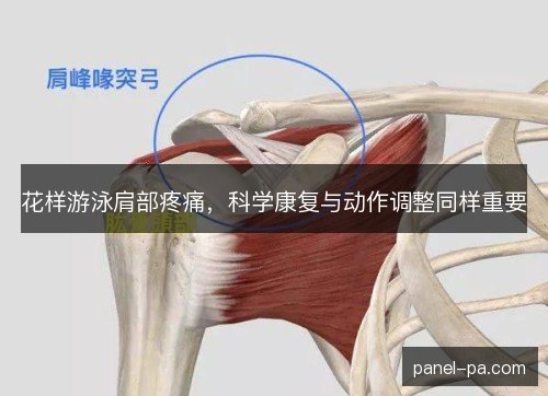 花样游泳肩部疼痛,科学康复与动作调整同样重要 花样游泳肩部疼痛,科学康复与动作调整同样重要